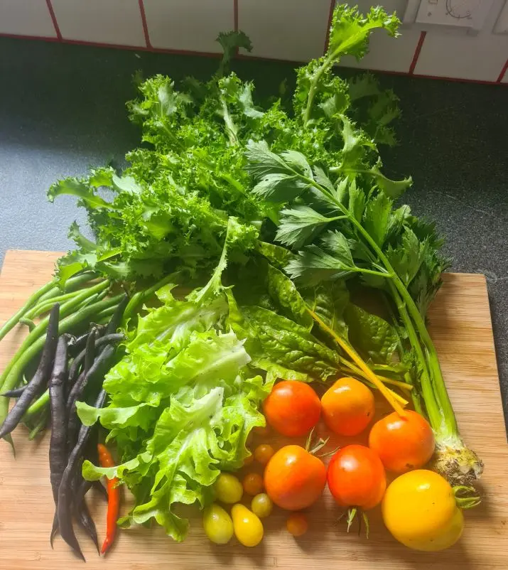 Garten und Gemüse online Lernprogramme